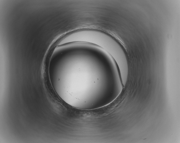 X0000113550579200909251040