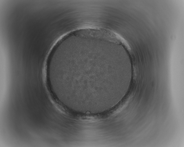 X0000113550580200909251040