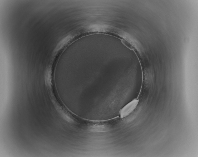 X0000113550581200909251040