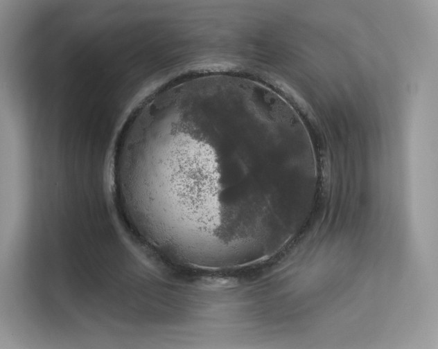 X0000113550582200909251040