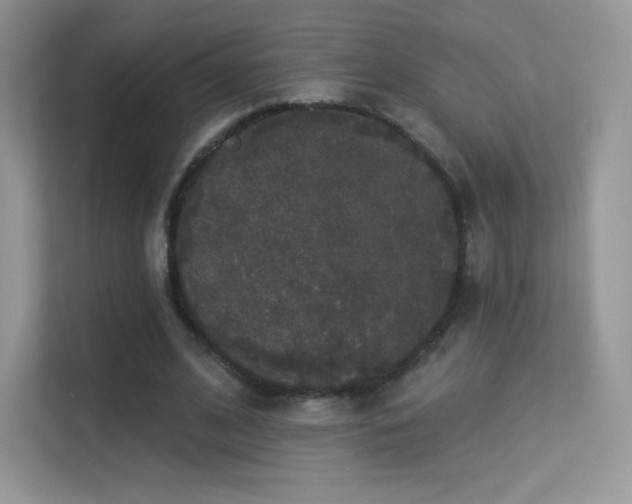 X0000113550584200909251040