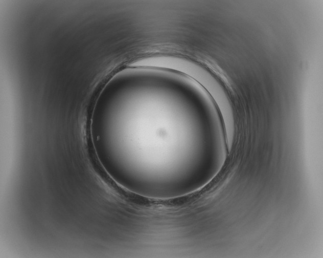 X0000113550585200909251040