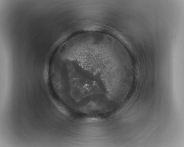 X0000113550586200909251039