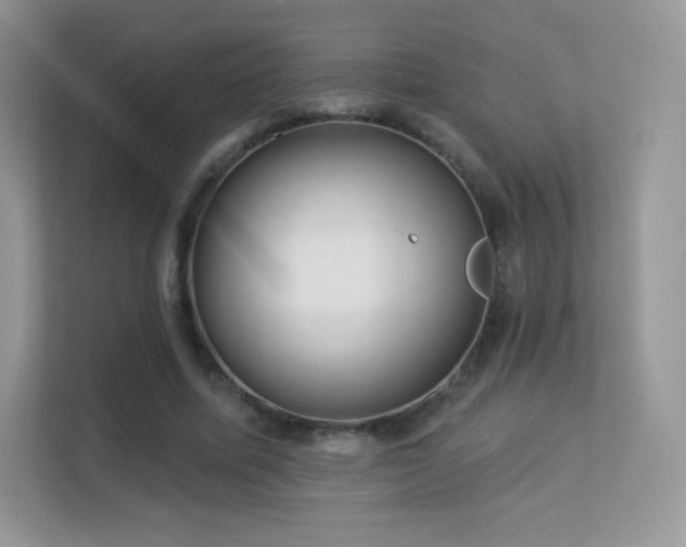 X0000113550587200909251039