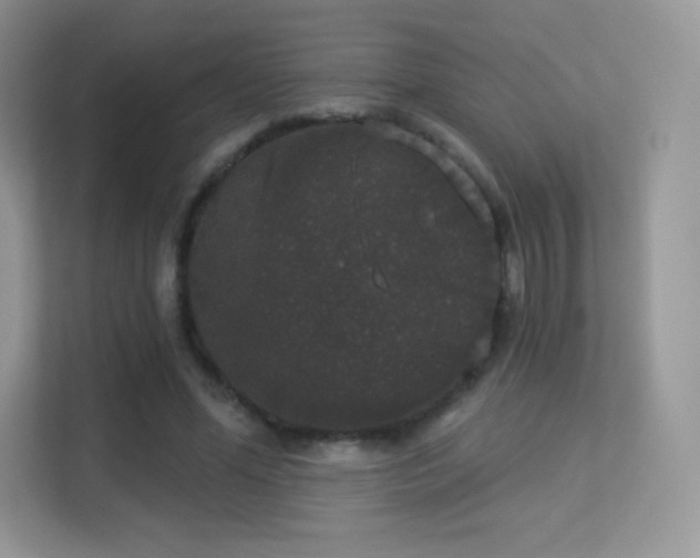 X0000113550588200909251039