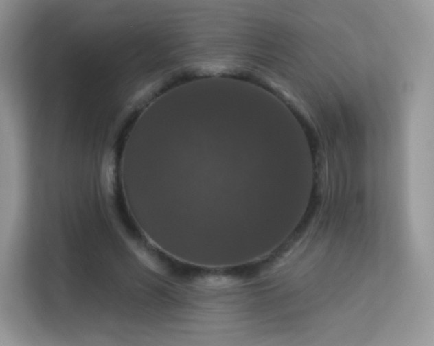 X0000113550590200909251039