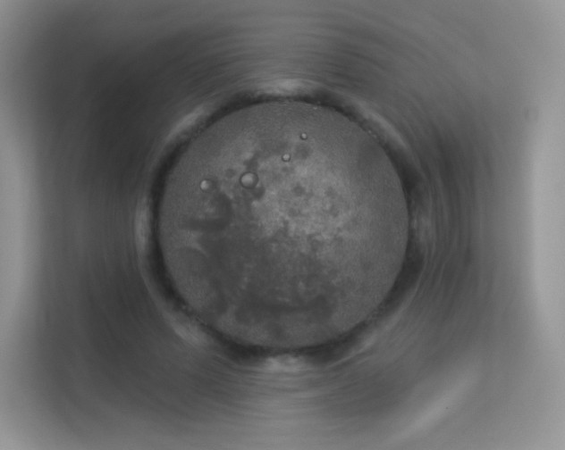 X0000113550591200909251039