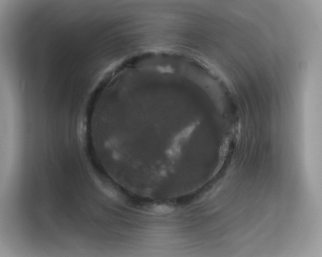 X0000113550592200909251039