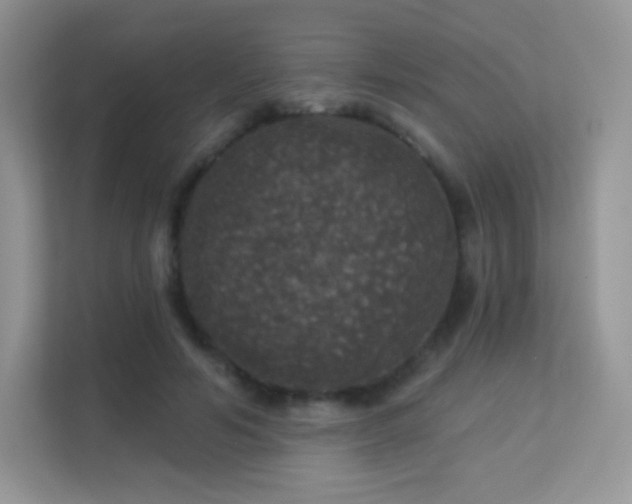 X0000113550594200909251039