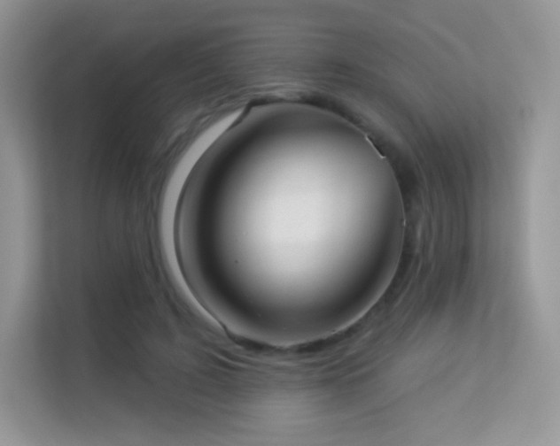 X0000113550595200909251039