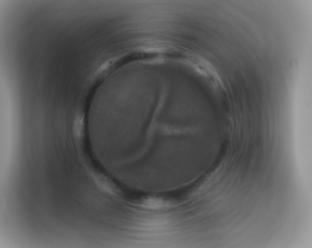 X0000113550596200909251039