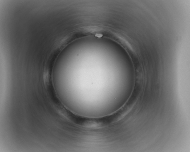 X0000113550597200909251039