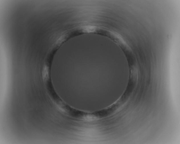 X0000113550598200909251039