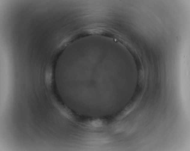 X0000113550600200909251039