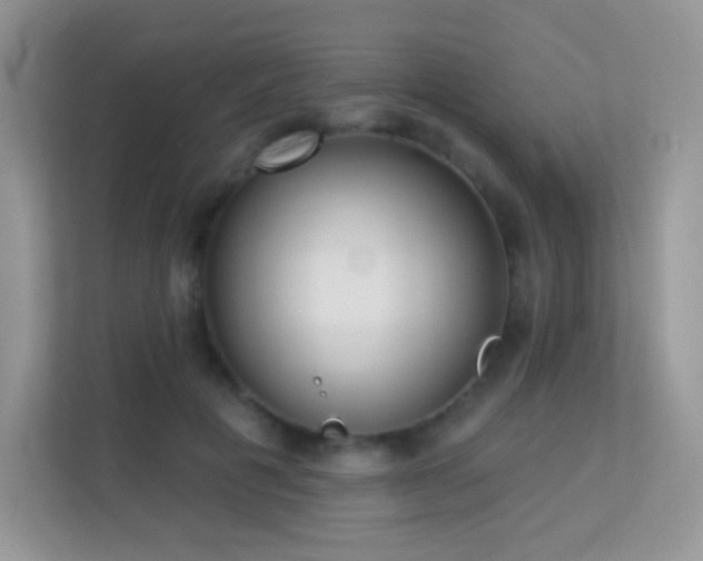 X0000113550601200909251039