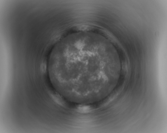 X0000113550602200909251039