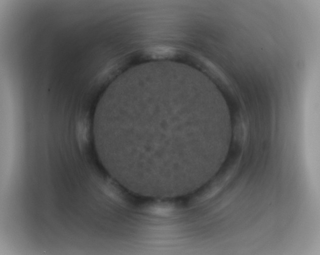 X0000113550604200909251039