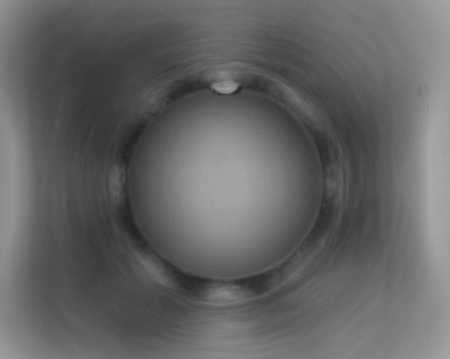 X0000113550605200909251039