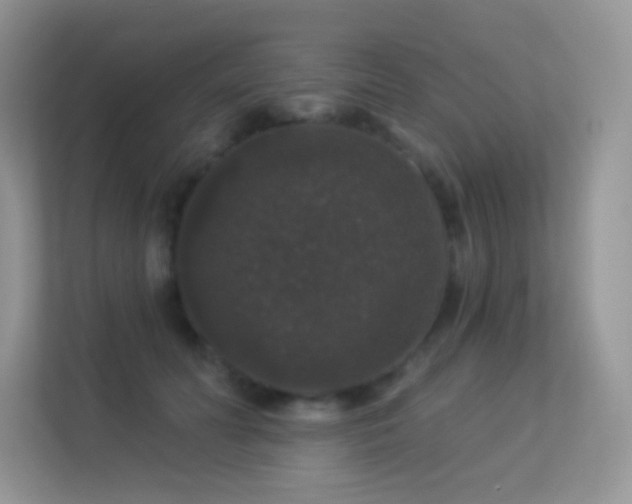 X0000113550606200909251039