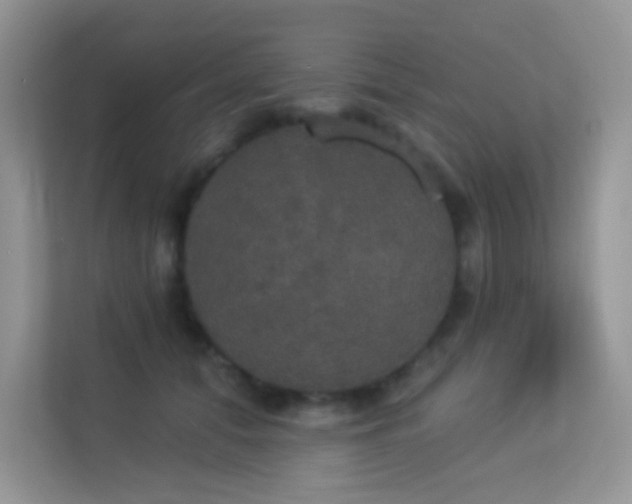 X0000113550608200909251039