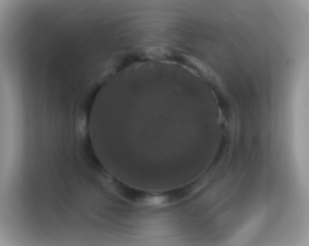 X0000113550610200909251039