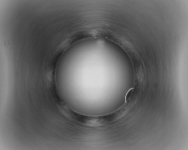 X0000113550611200909251039