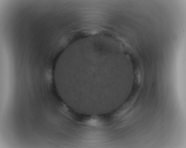 X0000113550612200909251039