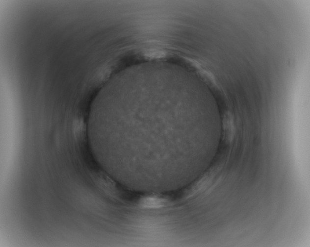 X0000113550614200909251039