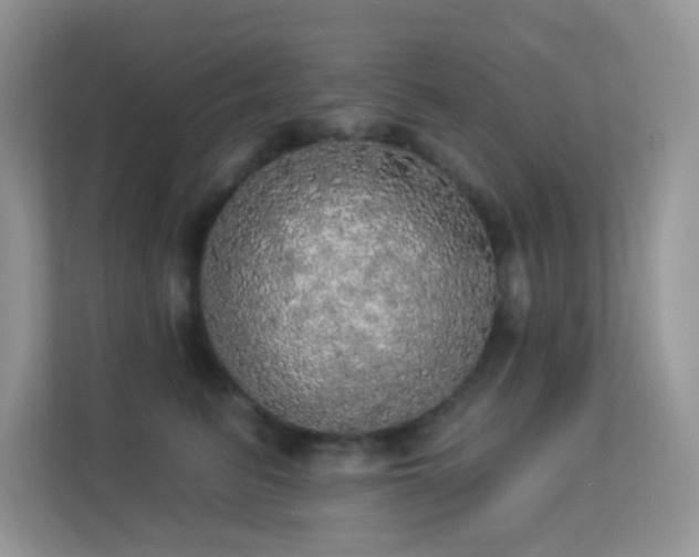 X0000113550615200909251039