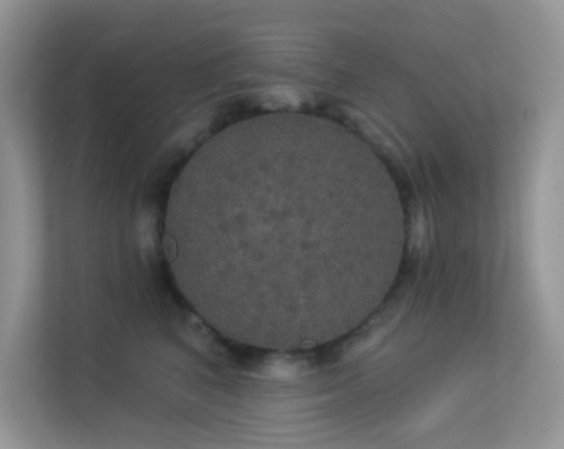 X0000113550616200909251039