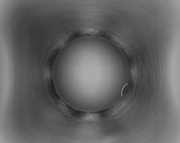 X0000113550617200909251039