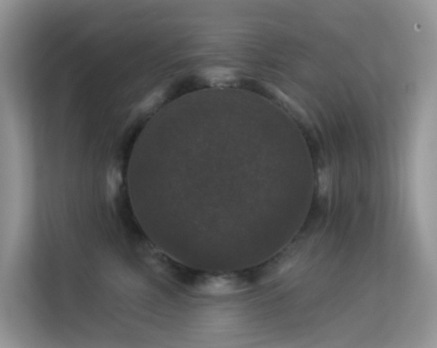 X0000113550618200909251039