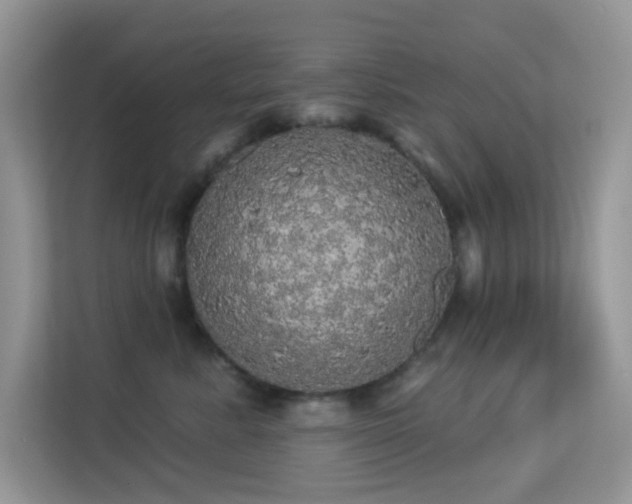 X0000113550619200909251039