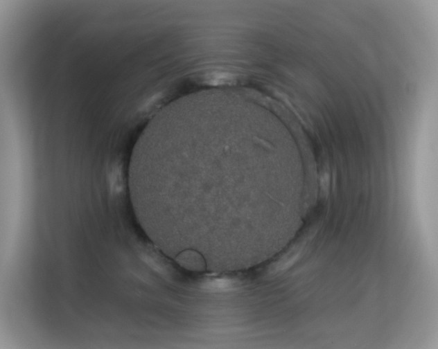 X0000113550620200909251039