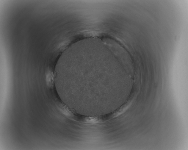 X0000113550624200909251039