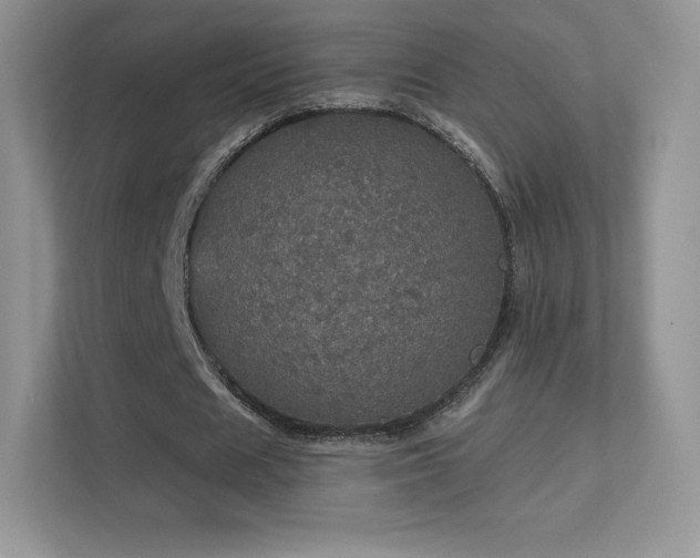 X0000113550625200909251038