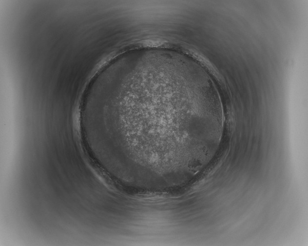 X0000113550626200909251038