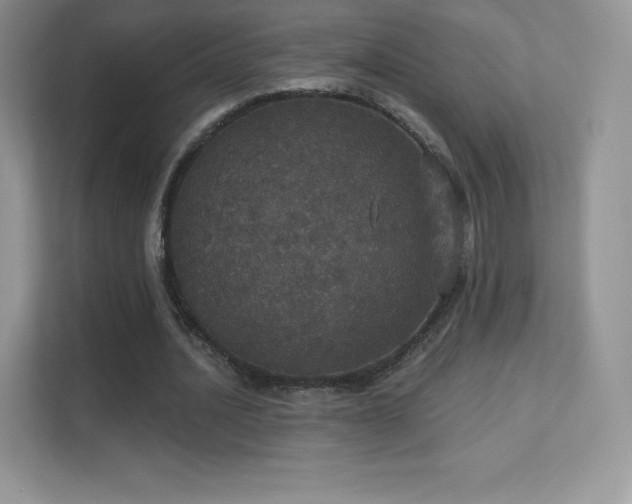 X0000113550628200909251038