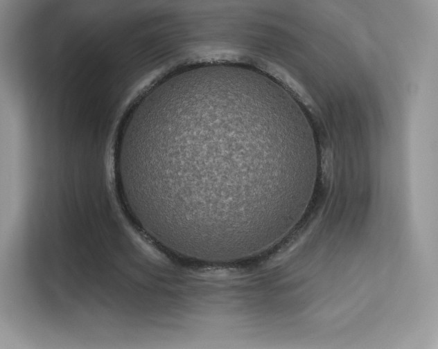 X0000113550629200909251038