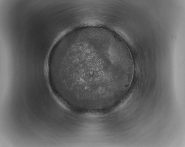 X0000113550630200909251038