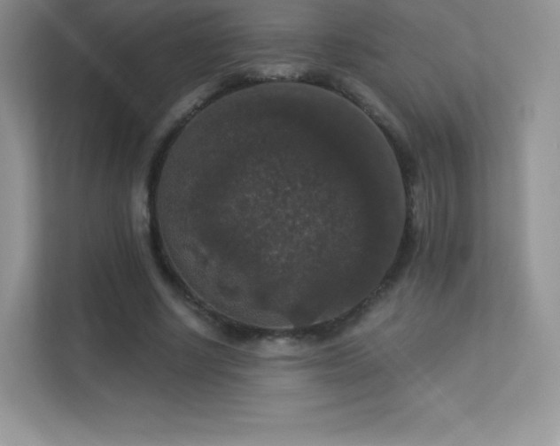 X0000113550634200909251038