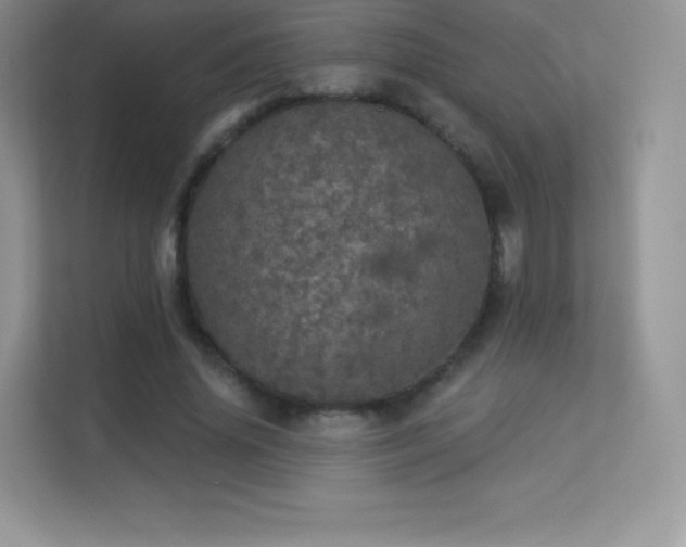 X0000113550636200909251038