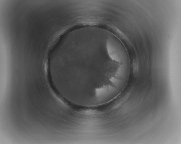 X0000113550637200909251038