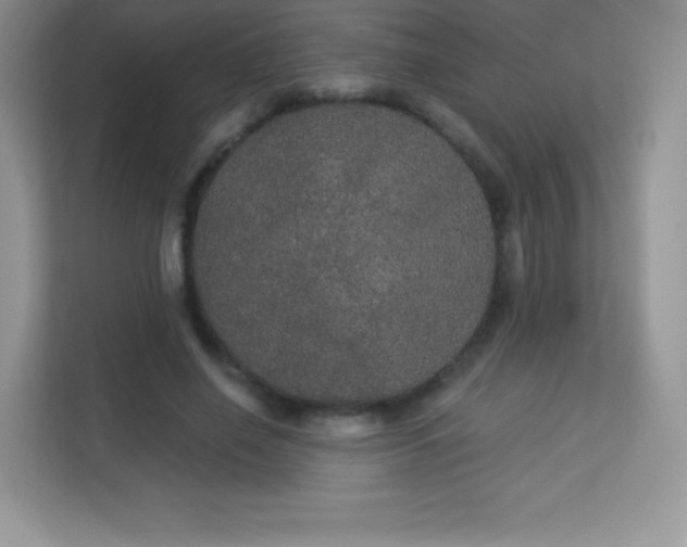 X0000113550638200909251038