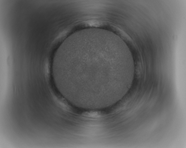 X0000113550639200909251038