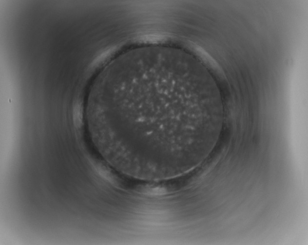 X0000113550640200909251038