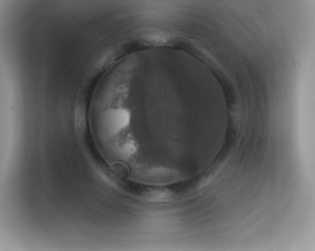 X0000113550642200909251038