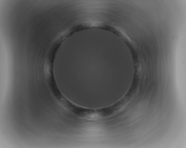 X0000113550643200909251038