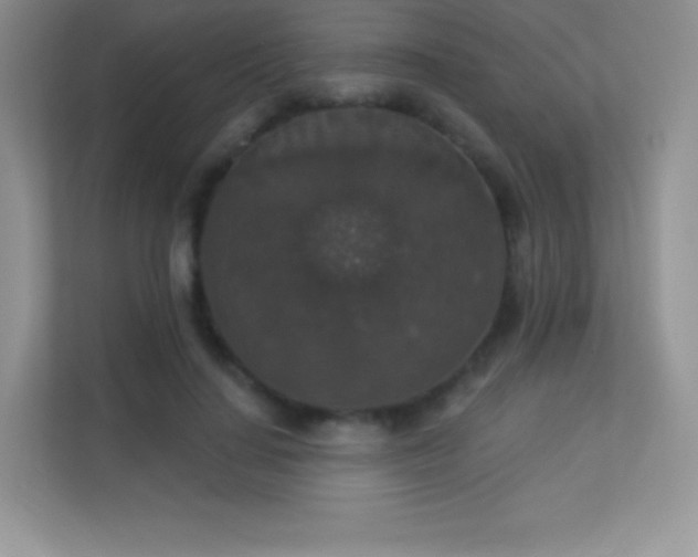 X0000113550644200909251038