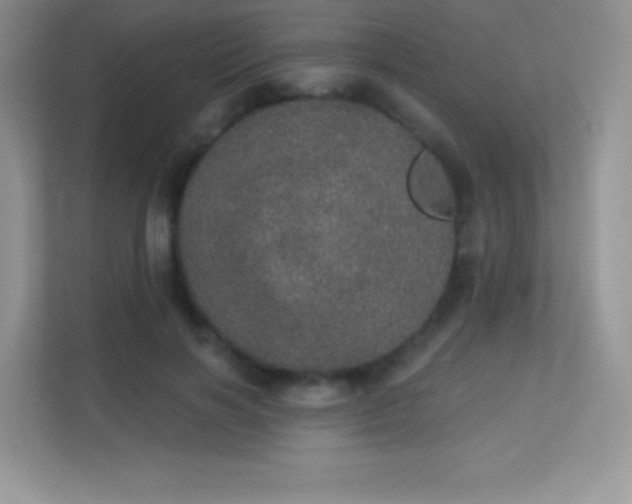 X0000113550646200909251038